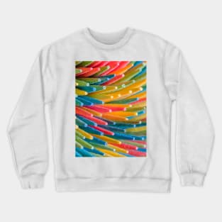 Rainbow Multicolored Toothpicks Macro Photograph Crewneck Sweatshirt